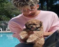 He likes puppies very much.